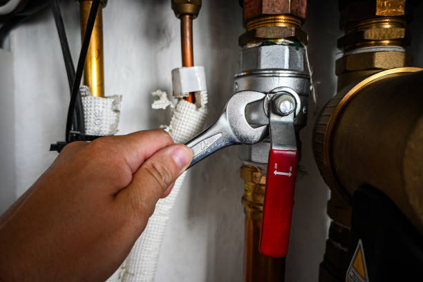 Best Plumbing Inspection Services  in Franklin, CA